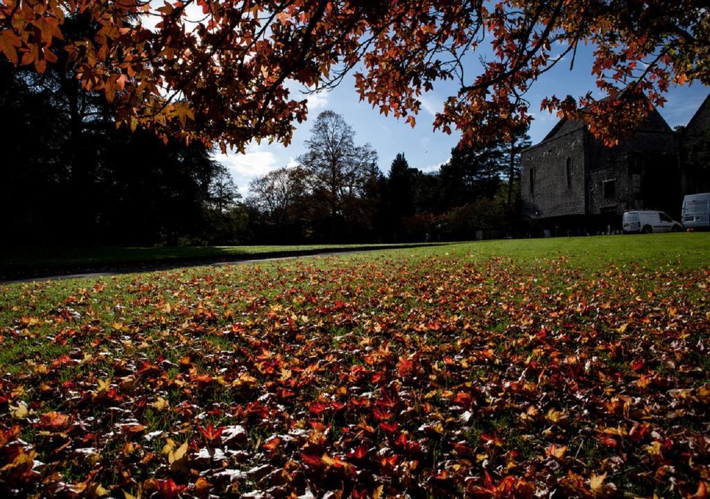 Dartington Hall Totnes Eksteriør bilde